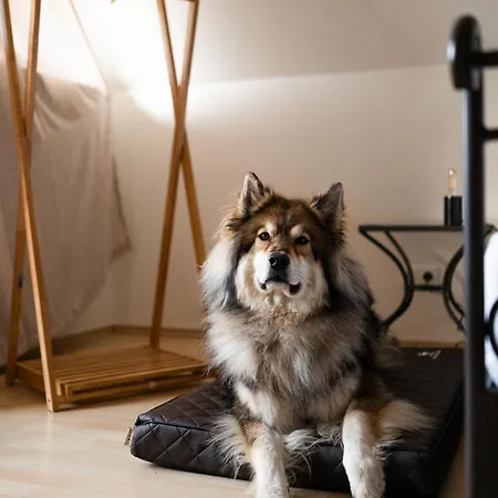 Schilcherlandleben - Kellerstoeckl