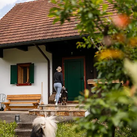 Tatil Evi Schilcherlandleben - Kellerstoeckl *