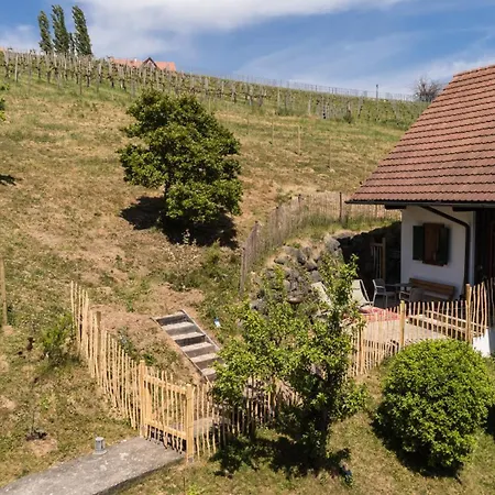 Tatil Evi Schilcherlandleben - Kellerstoeckl *