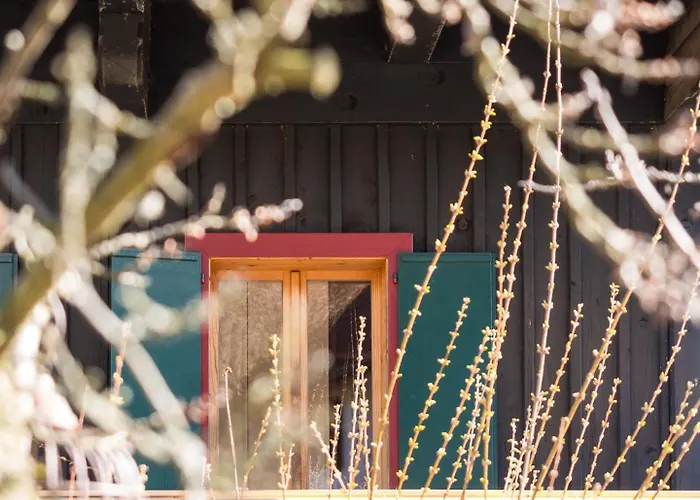 Schilcherlandleben - Kellerstoeckl Hébergement de vacances Sankt Stefan ob Stainz