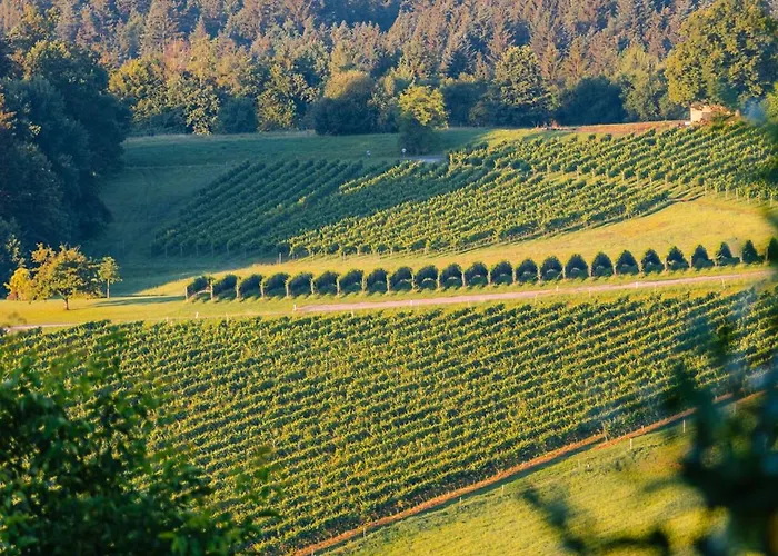 Hébergement de vacances Schilcherlandleben - Kellerstoeckl *