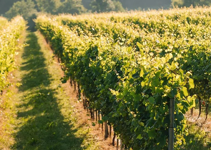 Schilcherlandleben - Kellerstoeckl Nyaraló *