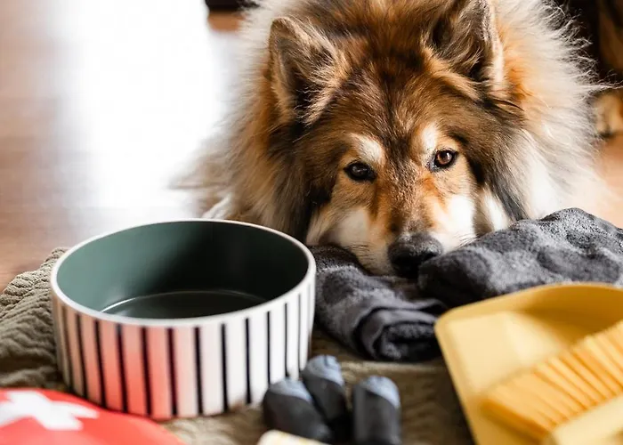 Nyaraló Schilcherlandleben - Kellerstoeckl *