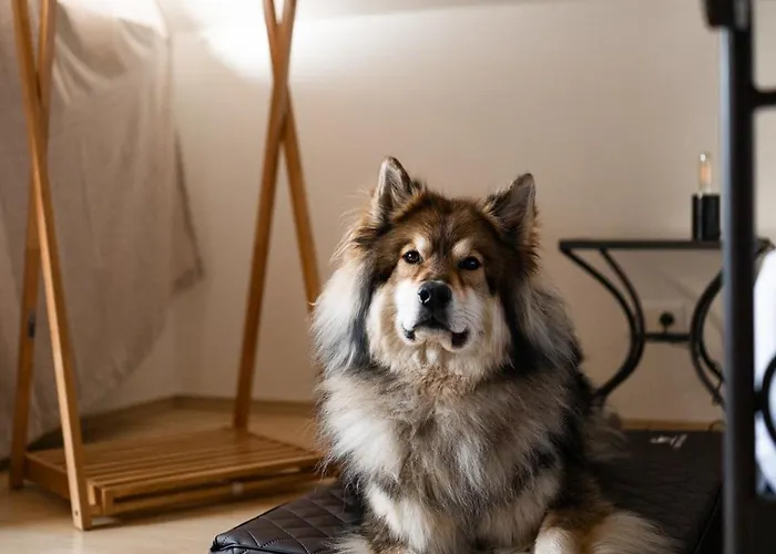 Schilcherlandleben - Kellerstoeckl